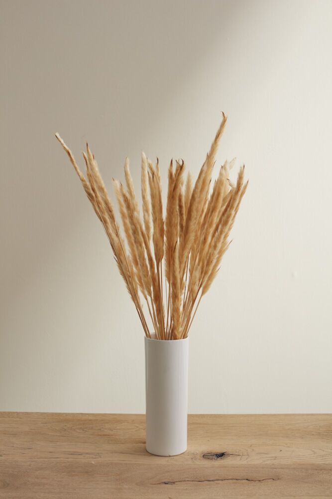 Fluffy Dried Pampas Grass - Tampa Home & Garden Store