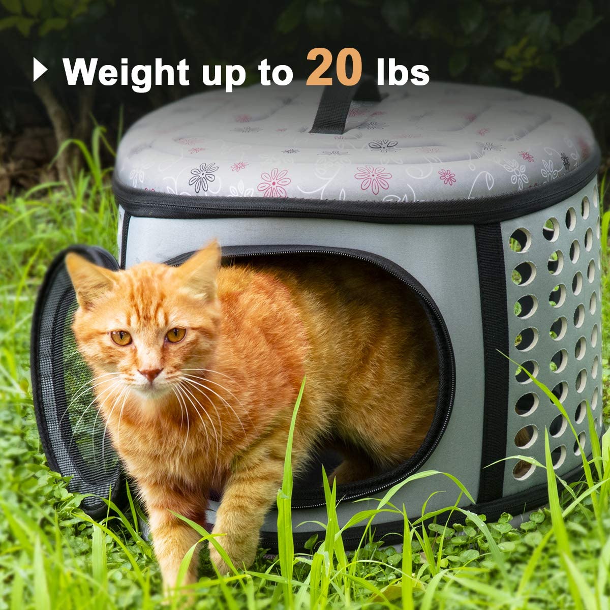 Foldable Pet Dog Cat Puppy Handbag Carrier Cage - Tampa Home & Garden Store
