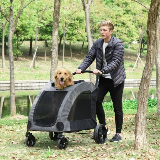 Foldable Pet Stroller with Storage Pocket - Tampa Home & Garden Store