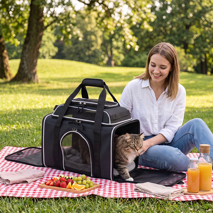 Rolling pet carrier with wheels for cats and small dogs by DirectDeals, black mesh on Tampa Home & Garden Store
