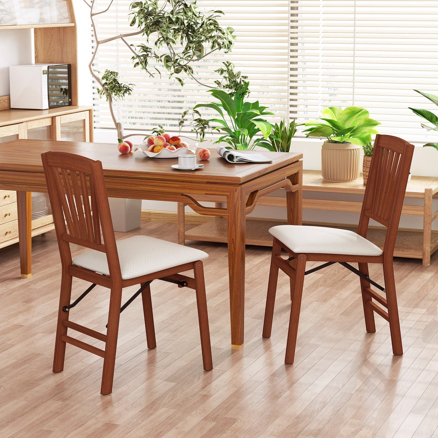 Folding dining chairs set of 2 with padded white seats and rubber wood frame on Tampa Home & Garden Store