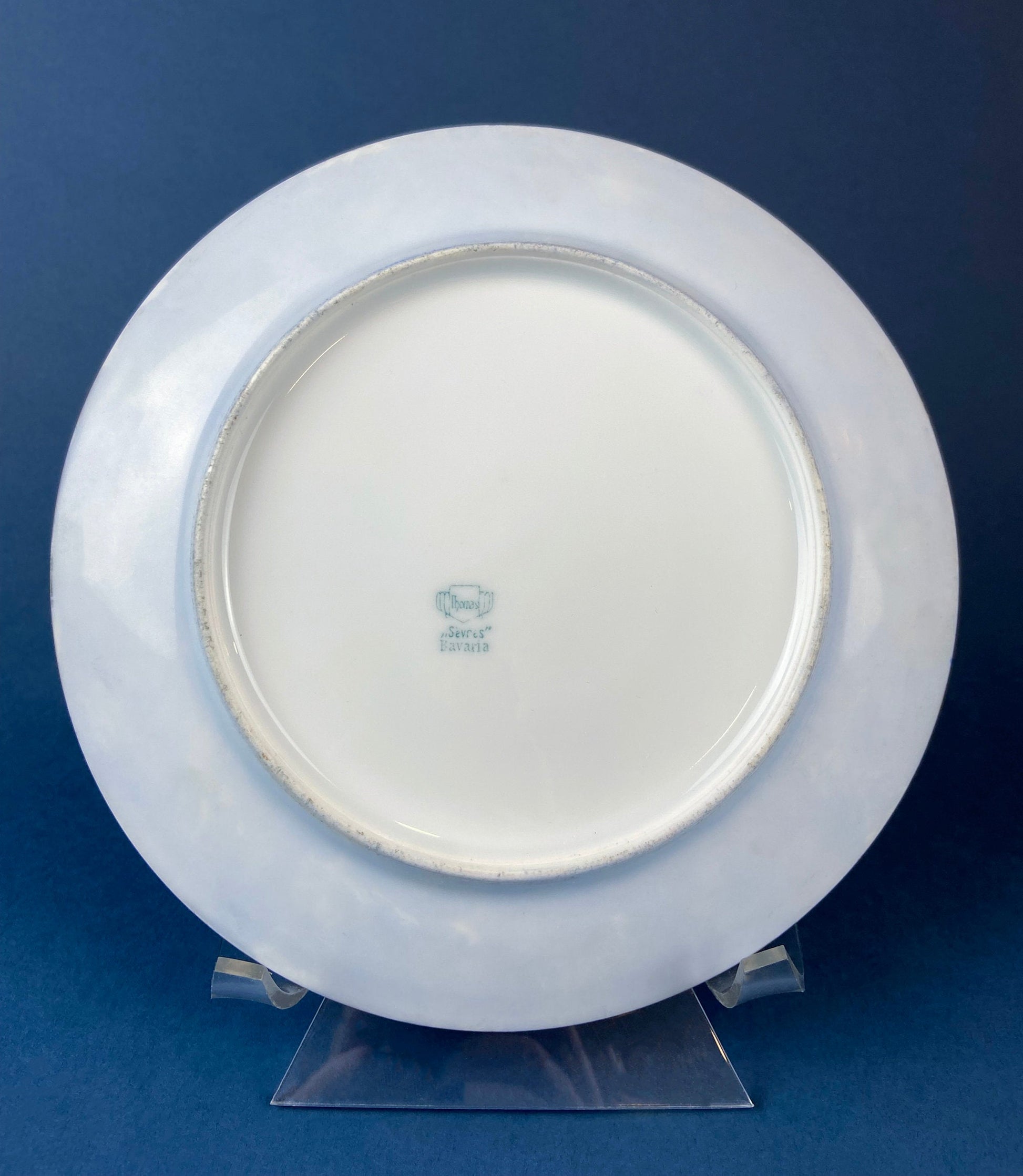 Forget me Not Set of Cup, Saucer, Dessert or Salad Plates, and Dinner Plates. Antique Hand Painted Porcelain Dishes. Breakfast Set. - Tampa Home & Garden Store