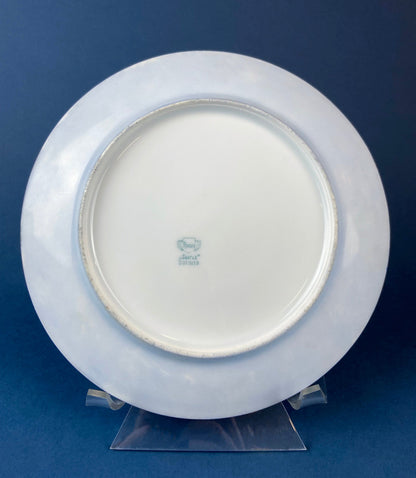 Forget me Not Set of Cup, Saucer, Dessert or Salad Plates, and Dinner Plates. Antique Hand Painted Porcelain Dishes. Breakfast Set. - Tampa Home & Garden Store