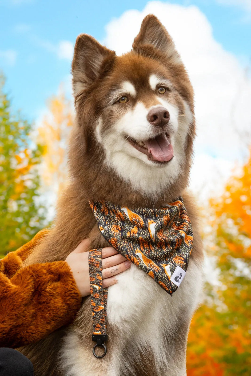 Foxes in Fall Dog Bandana & Matching Keychain - Tampa Home & Garden Store