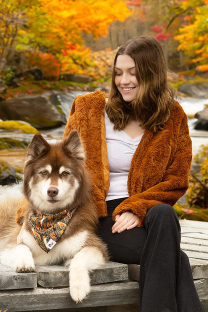 Foxes in Fall Dog Bandana & Matching Keychain - Tampa Home & Garden Store