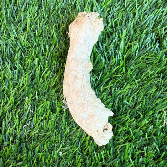 Freeze-Dried Chicken Neck - 1 Count - Tampa Home & Garden Store