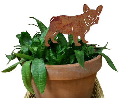 French Bulldog plant stake Rustica Ornamentals rusted metal pet garden art in terracotta pot on Tampa Home & Garden Store
