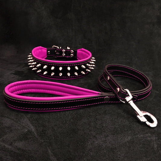 "Frenchie" Set- collar & leash. Pink - Tampa Home & Garden Store