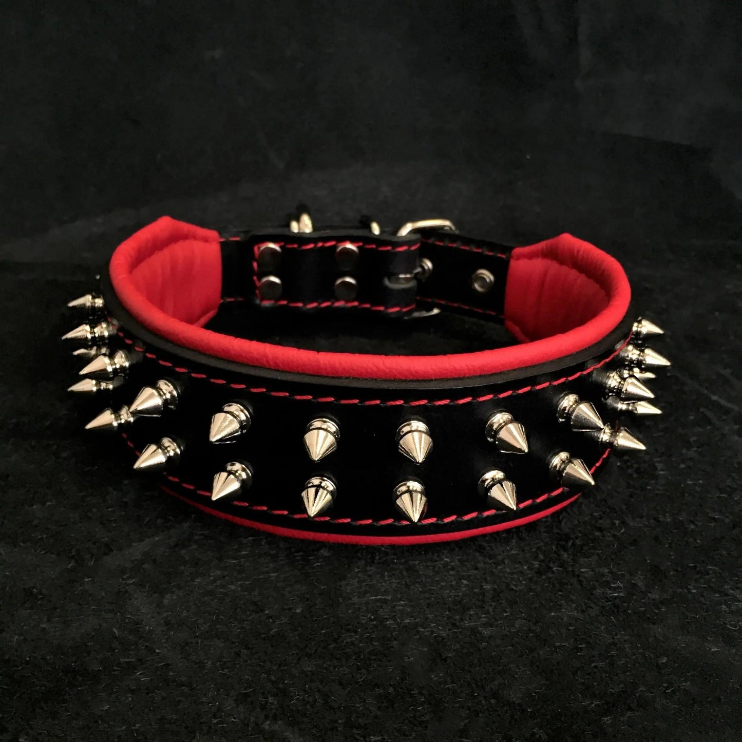 "Frenchie" collar - Tampa Home & Garden Store