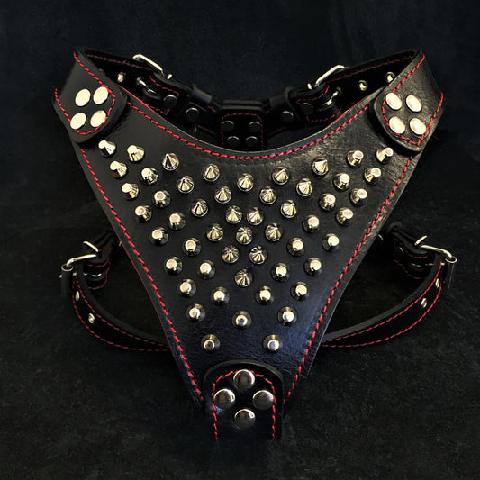 ''Frenchie'' studded leather harness Small to Medium Size - Tampa Home & Garden Store