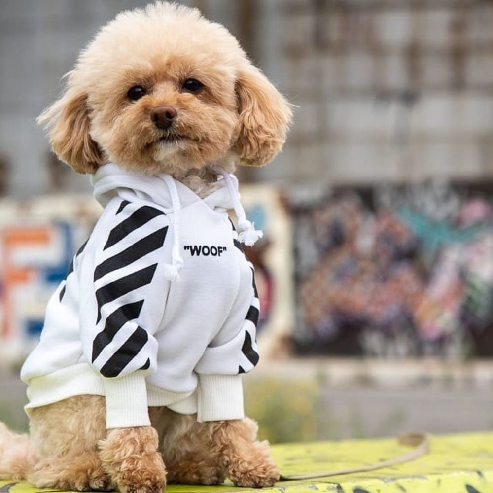 Fresh Pawz Woof Dog Hoodie - Tampa Home & Garden Store