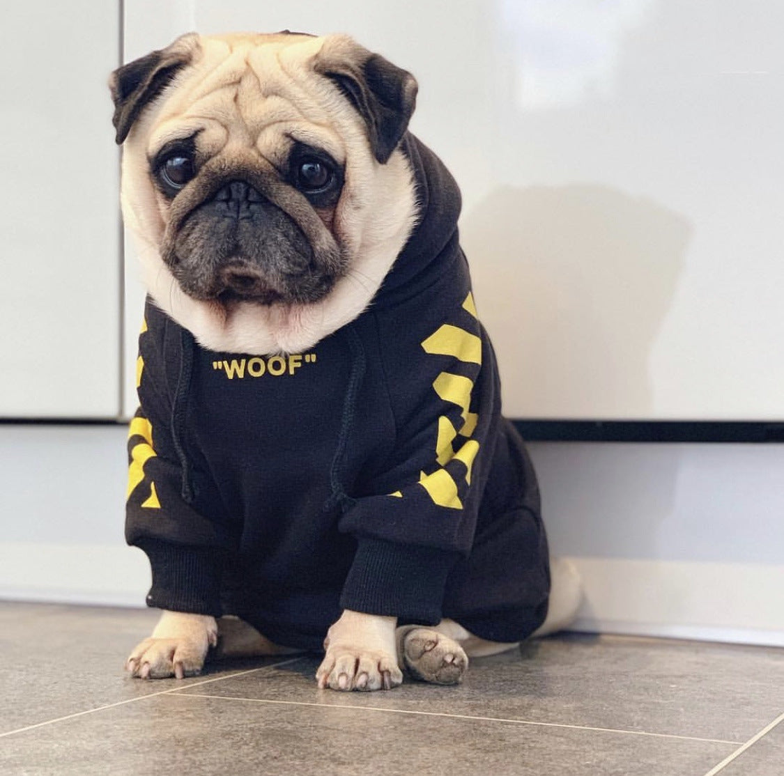 Fresh Pawz Woof Dog Hoodie - Tampa Home & Garden Store