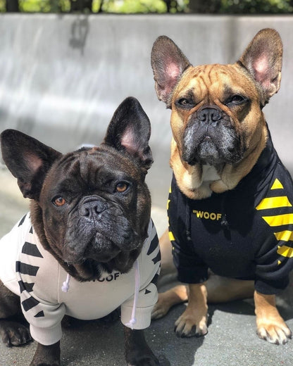 Fresh Pawz Woof Dog Hoodie - Tampa Home & Garden Store