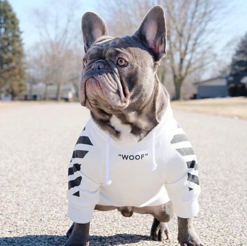 Fresh Pawz Woof Dog Hoodie - Tampa Home & Garden Store