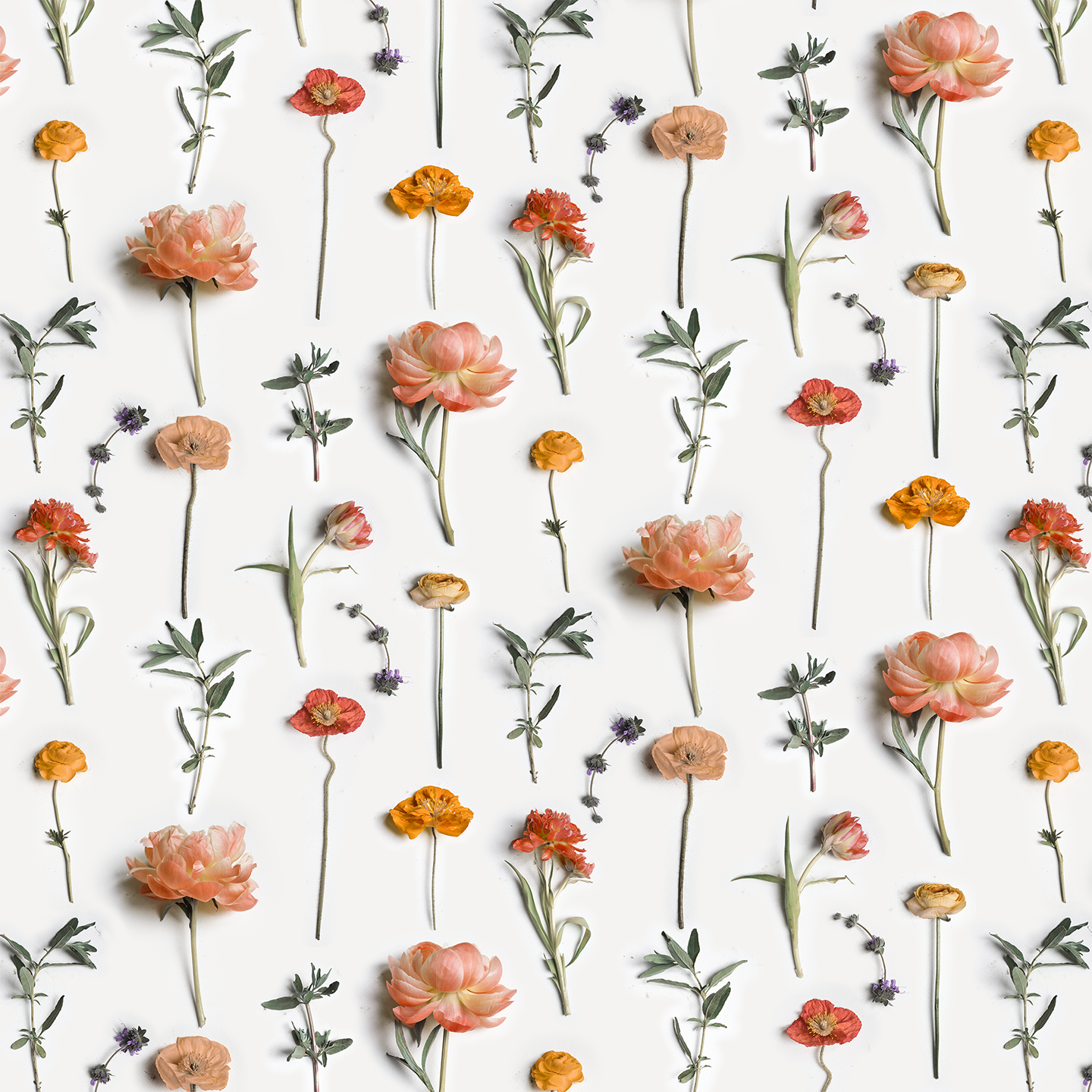 Fresh to Death Wallpaper, small pattern, autumn - Tampa Home & Garden Store