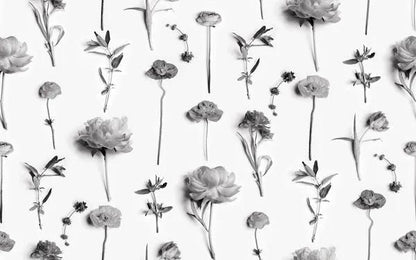 Fresh to Death Wallpaper, small pattern, black and white - Tampa Home & Garden Store