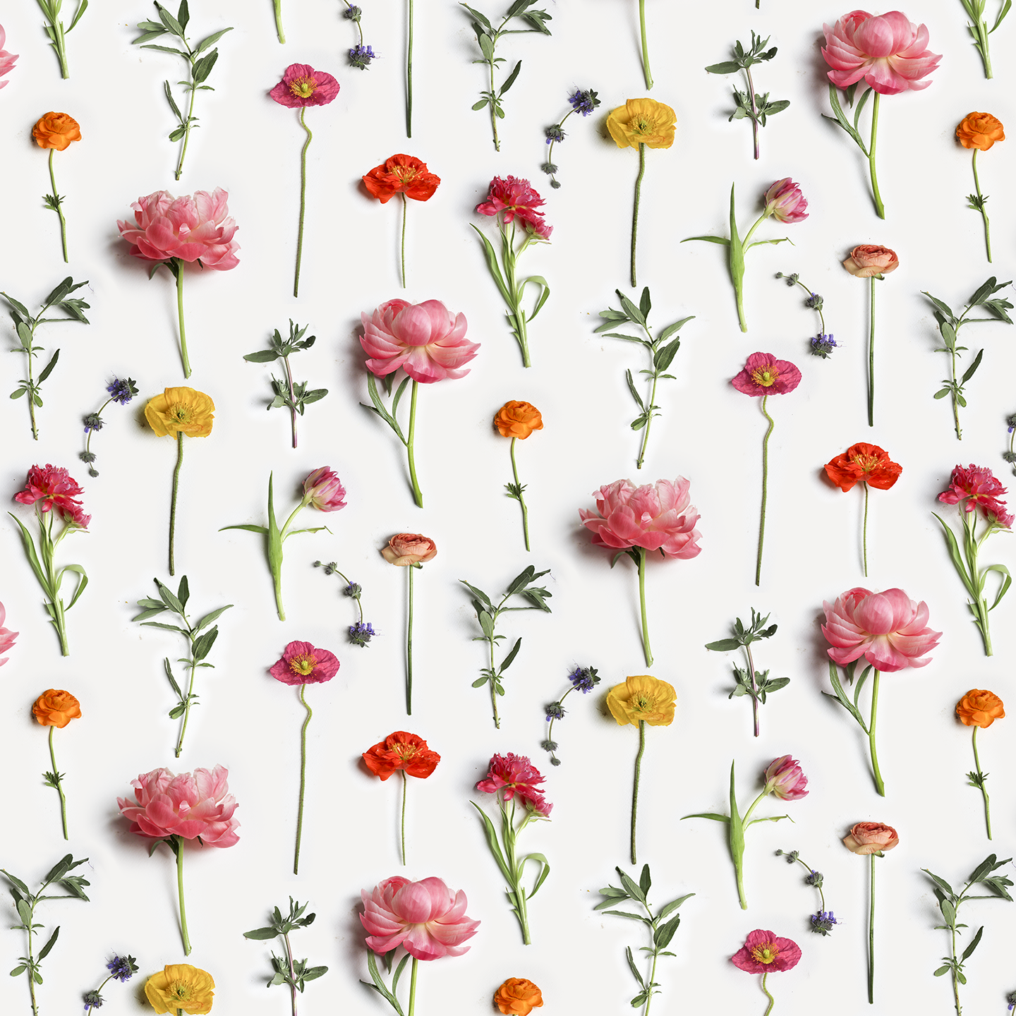 Fresh to Death Wallpaper, small pattern, spring - Tampa Home & Garden Store