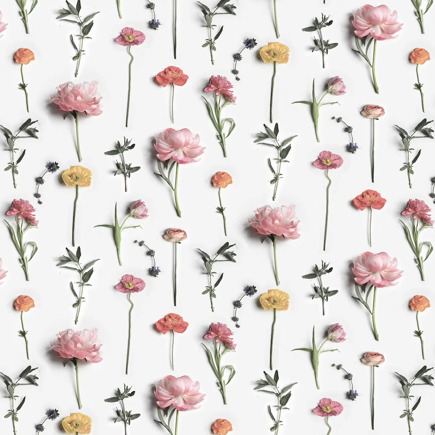 Fresh to Death Wallpaper, small pattern, spring muted - Tampa Home & Garden Store