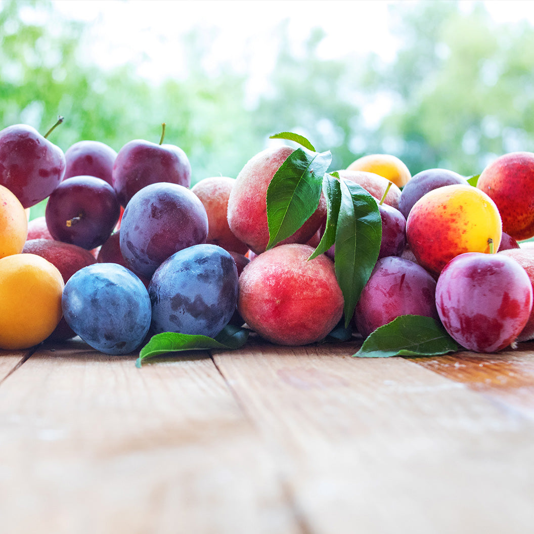 Fruit Cocktail Tree plant with colorful plums and peaches by Live Good Logistics on Tampa Home & Garden Store