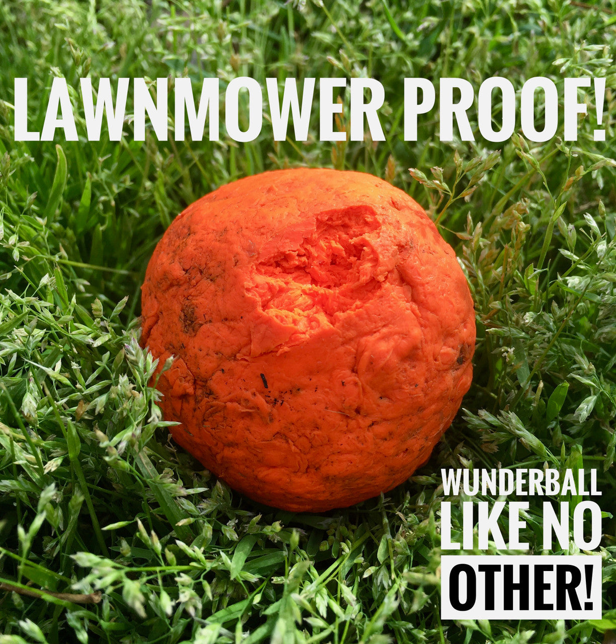 WUNDERball Fetch Toy Natural Rubber Ball For Dogs