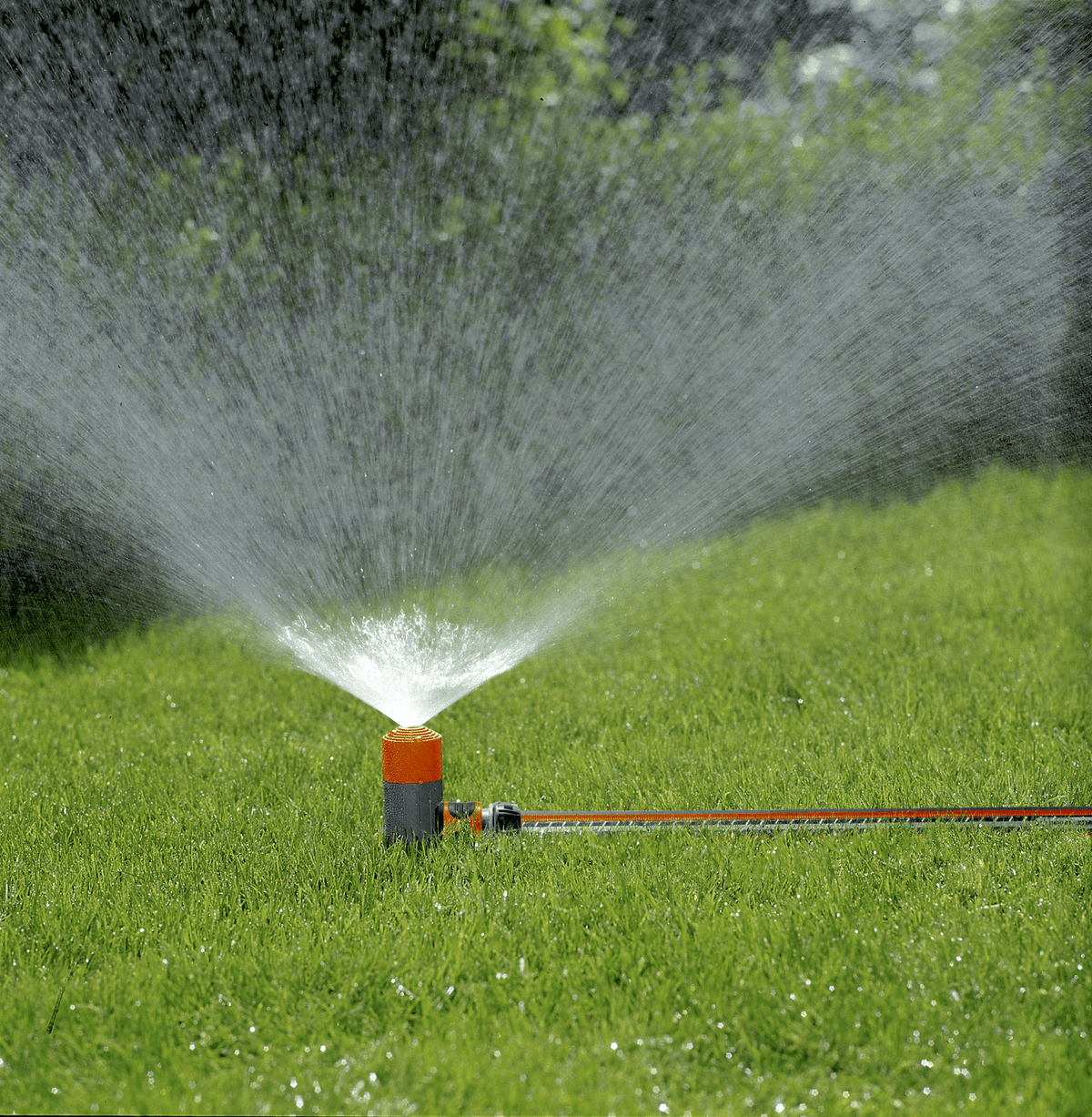 Gardena spray sprinkler on spike with US waterstop orange/gray stake watering lawn on Tampa Home & Garden Store