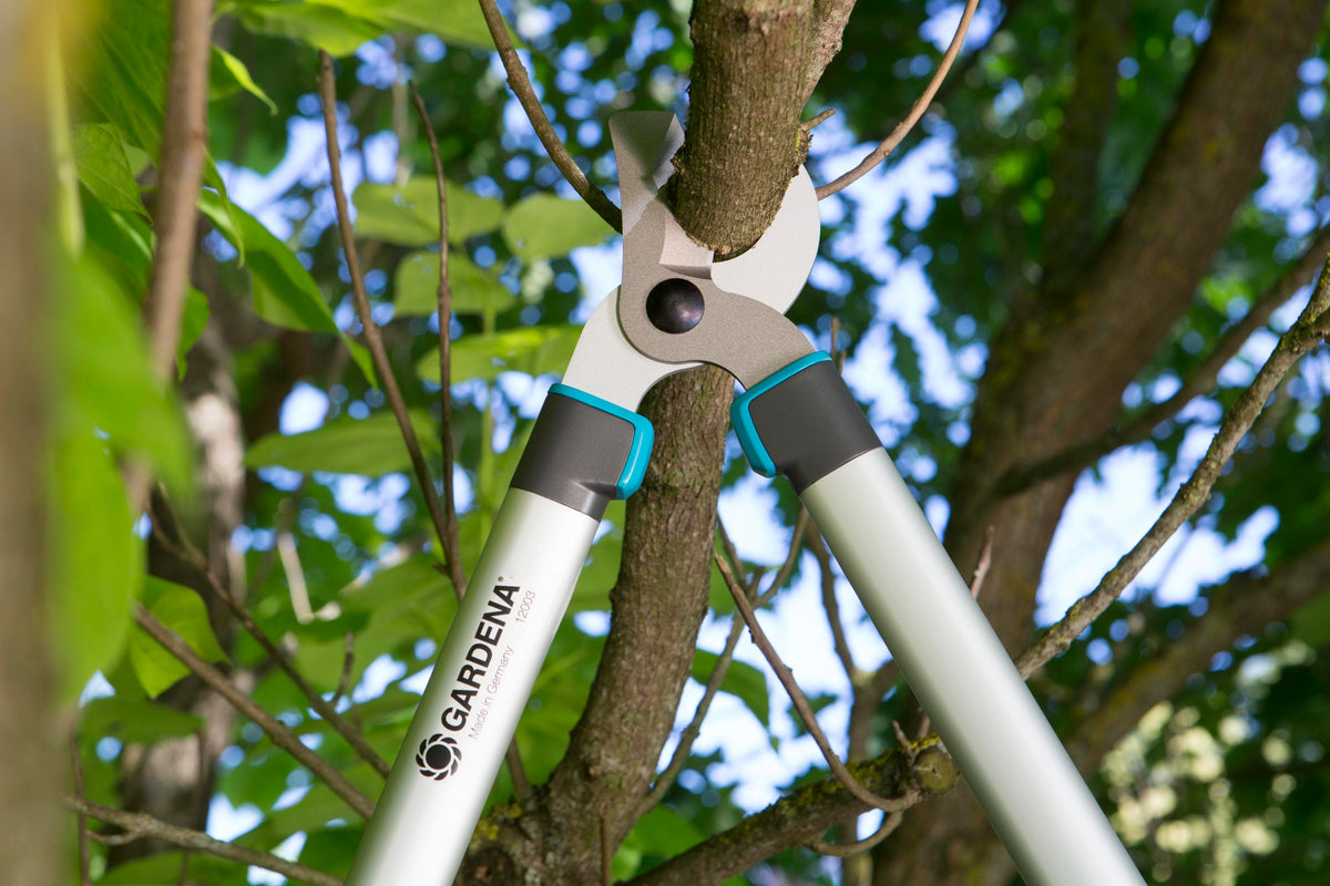 Pruning Lopper EasyCut 680 B Gardena with teal grips cutting a branch on Tampa Home & Garden Store