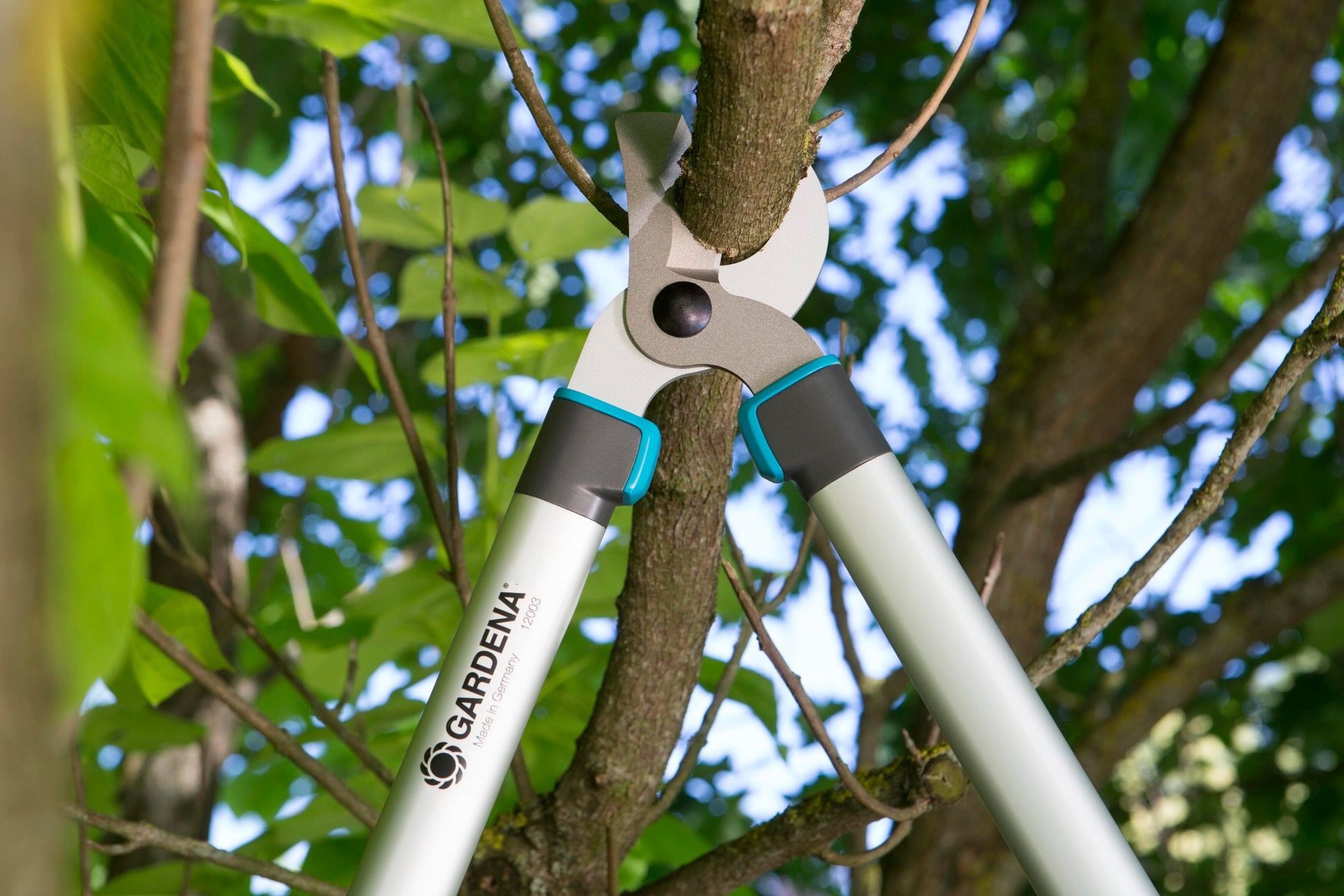 Pruning Lopper EasyCut 680 B Gardena with teal grips cutting a branch on Tampa Home & Garden Store