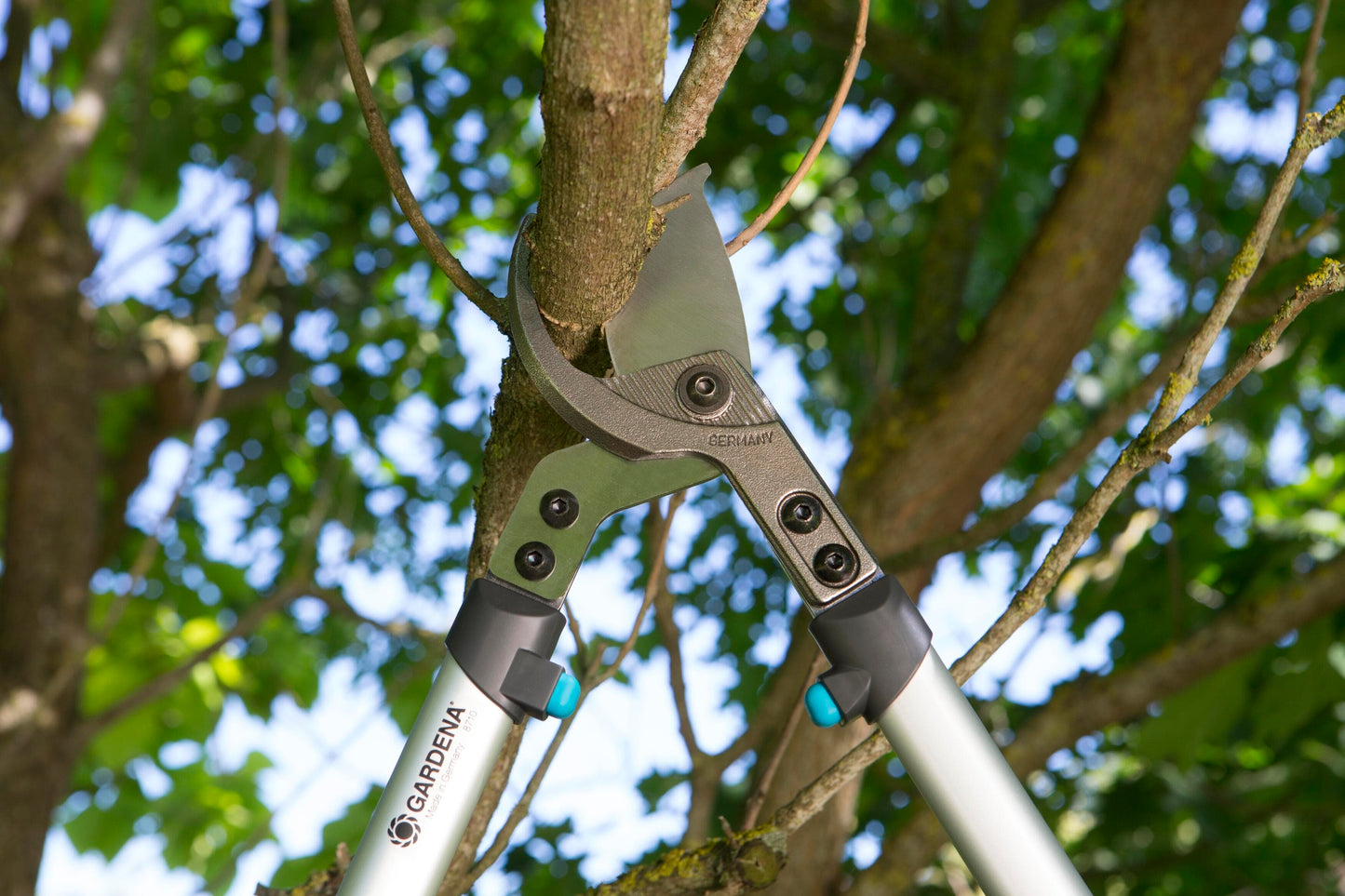 Pruning lopper Gardena PremiumCut 700 B with gray handles cutting a branch on tree on Tampa Home & Garden Store