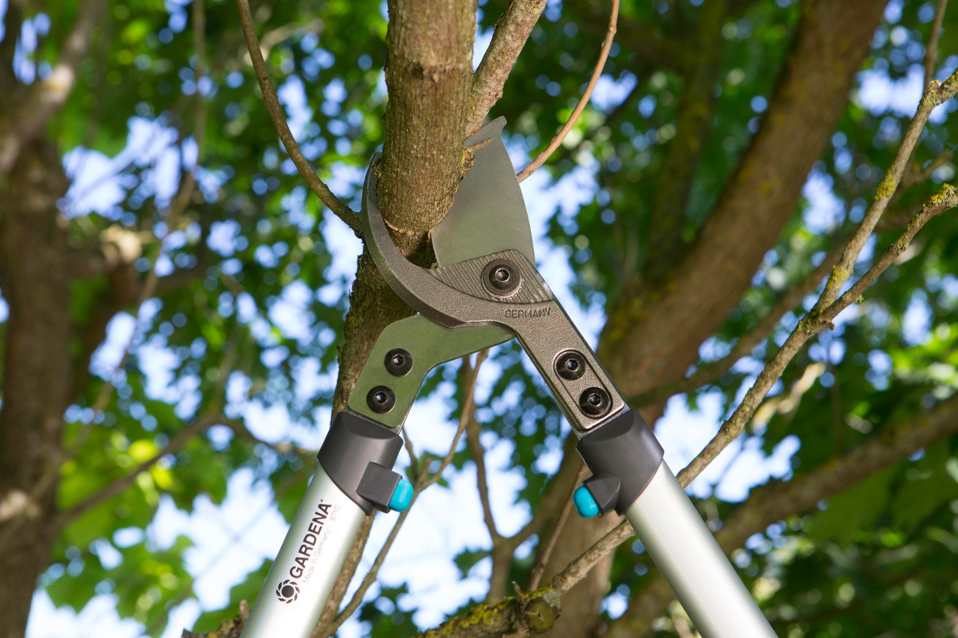 Pruning lopper Gardena PremiumCut 700 B with gray handles cutting a branch on tree on Tampa Home & Garden Store
