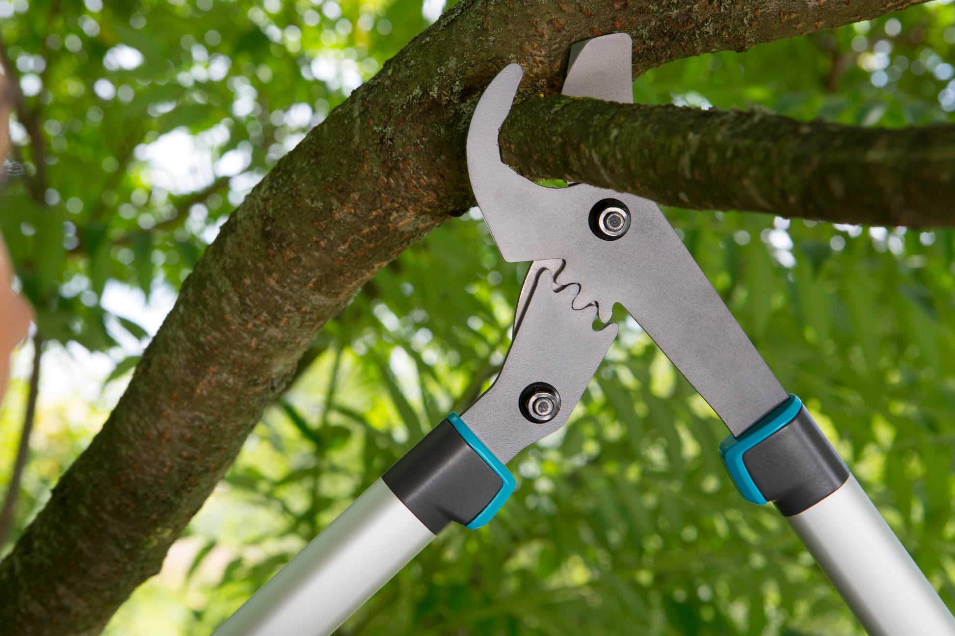 Pruning Lopper EnergyCut 750 B by Gardena with gray blades and teal handle accents on Tampa Home & Garden Store