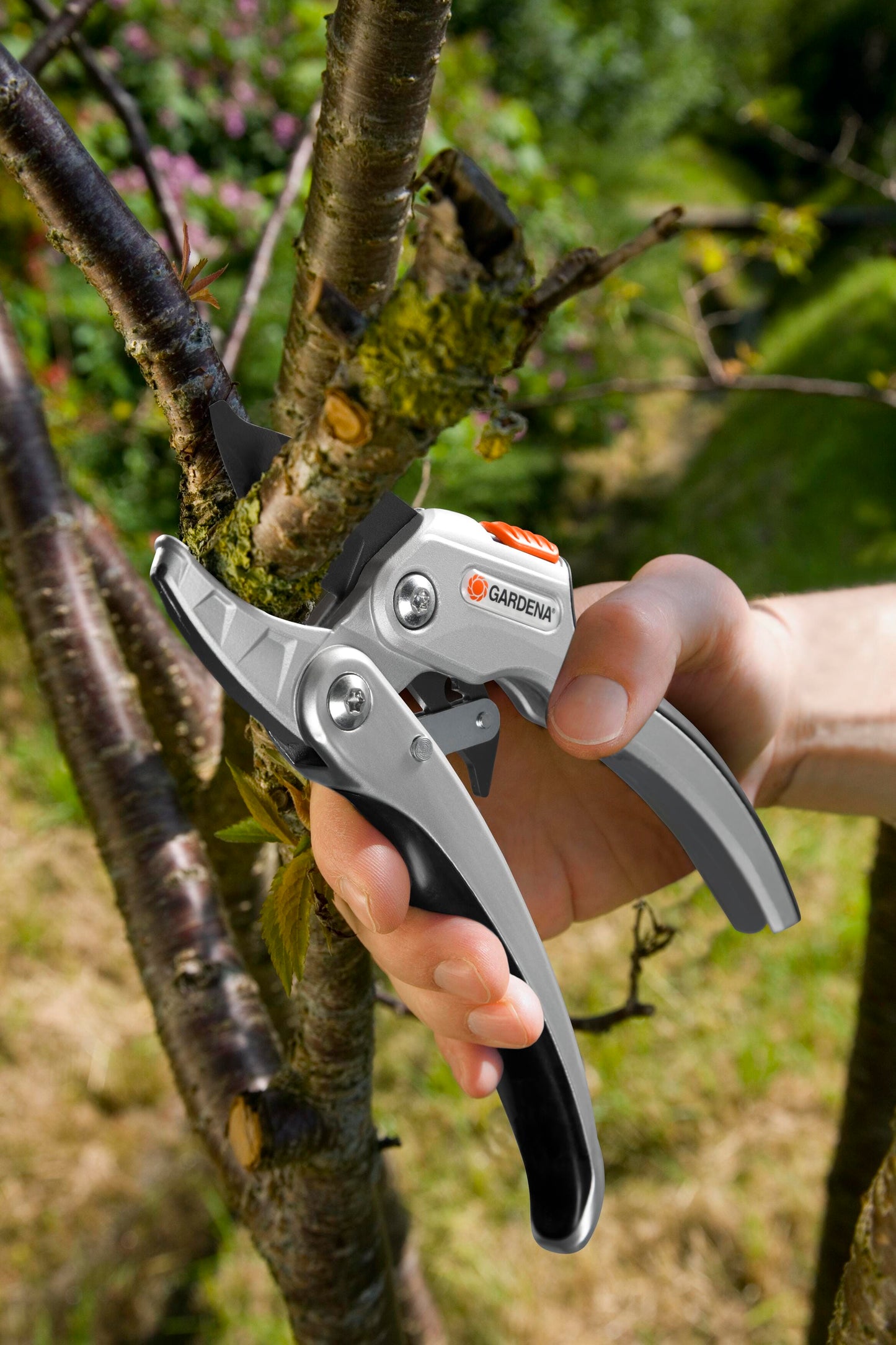 Gardena Ratchet Secateurs SmartCut Comfort with grey handles and orange lock cutting a branch on Tampa Home & Garden Store