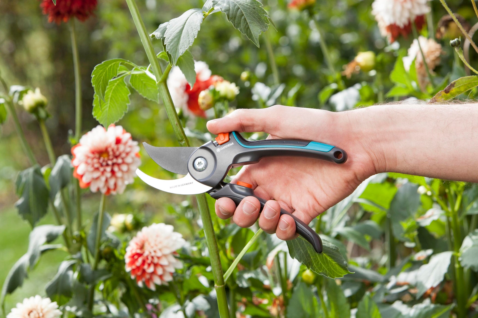 Gardena Garden Secateurs B/M hand tool with blue/gray handle and curved blade on Tampa Home & Garden Store