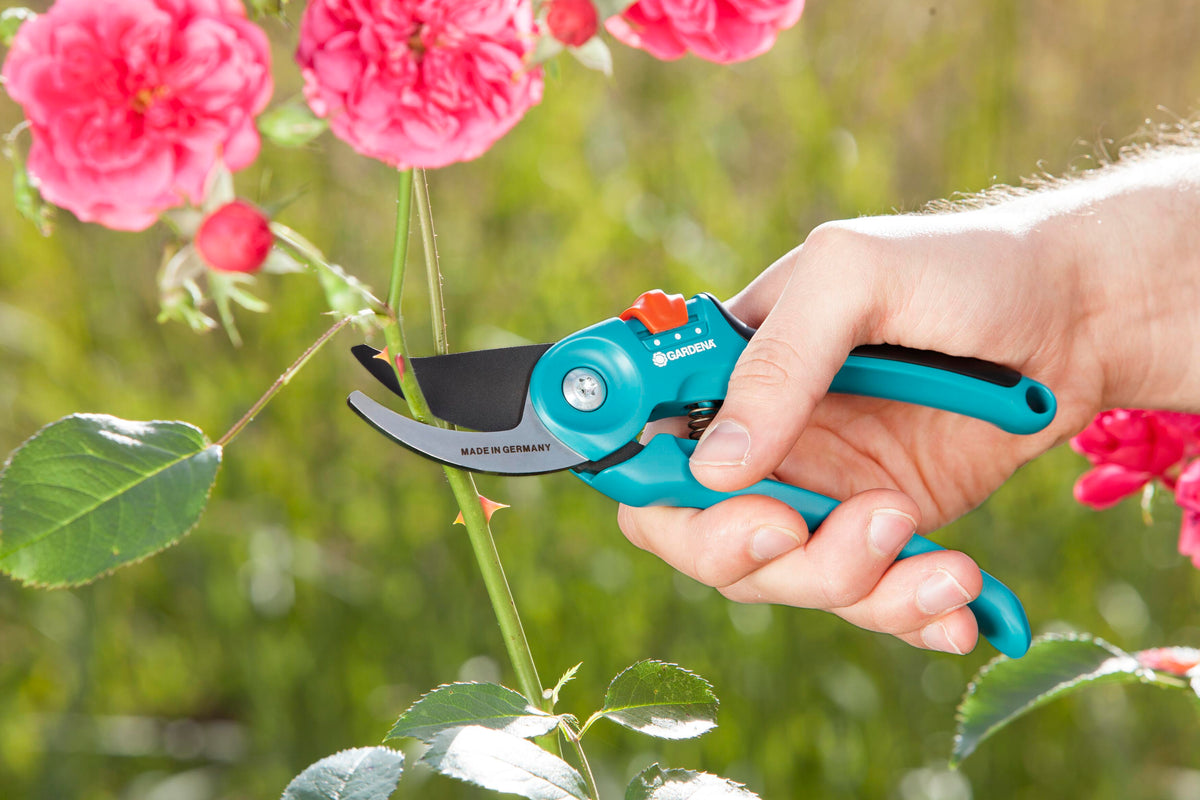 Garden Secateurs B/S-M Gardena teal handle orange lock cutting rose stem on Tampa Home & Garden Store