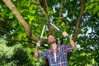 Pruning Lopper EnergyCut 750 B by Gardena with gray aluminum handles in use on tree on Tampa Home & Garden Store