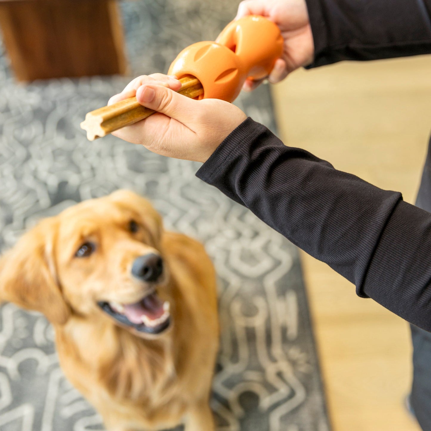 Natural Dental Sticks for Large Dogs with Mint