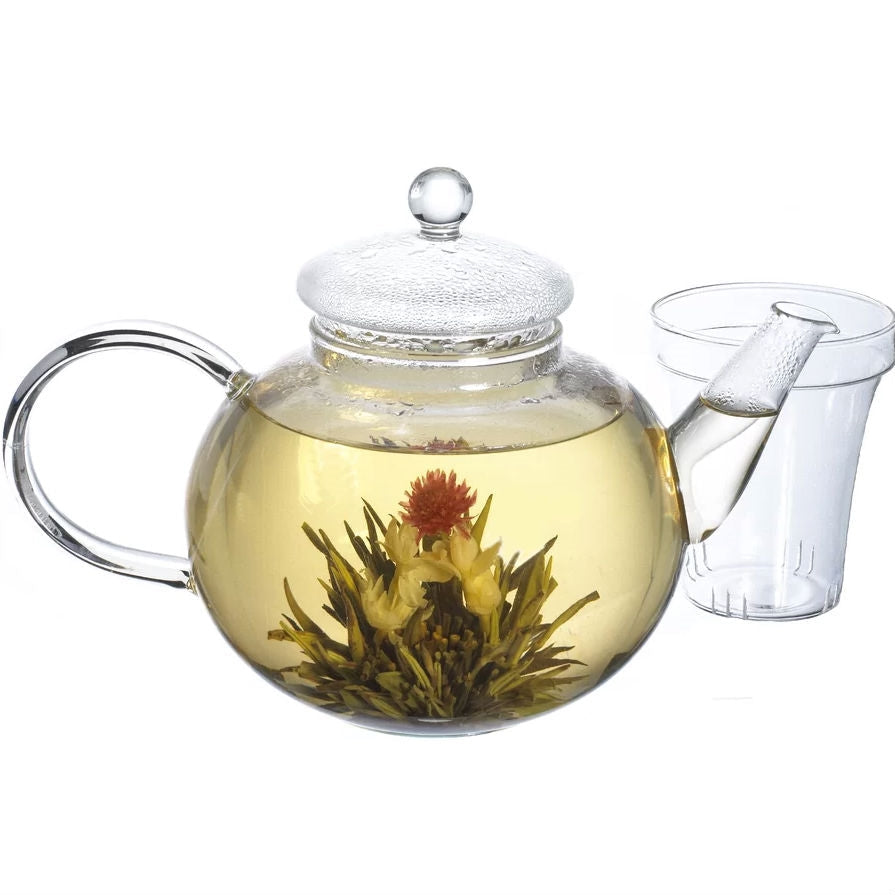 Teapot HomePacific borosilicate glass 1.32 qt with removable infuser, clear kettle with lid on Tampa Home & Garden Store