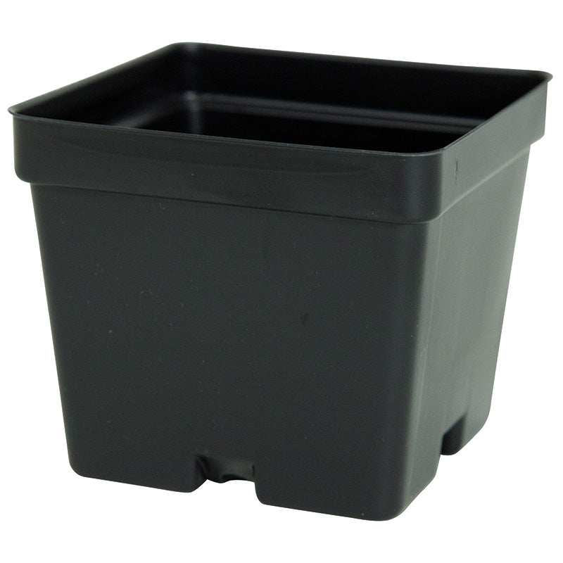 Pots carrés en plastique - 4"