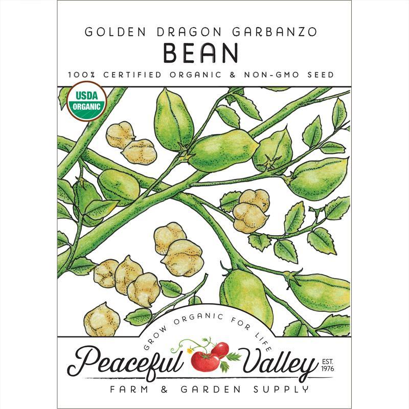 Garbanzo Golden Dragon Bush Bean Seeds (Organic) - Tampa Home & Garden Store