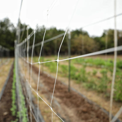 Garden Trellis Netting | 6" Mesh - Tampa soil911.com