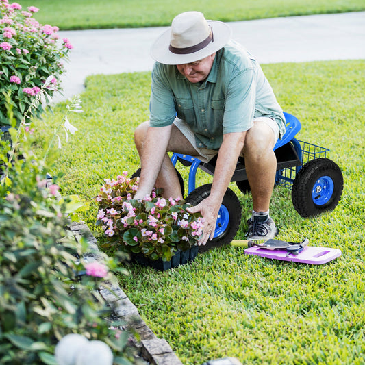 Carrito de jardín con bandeja de herramientas de alta resistencia - Azul