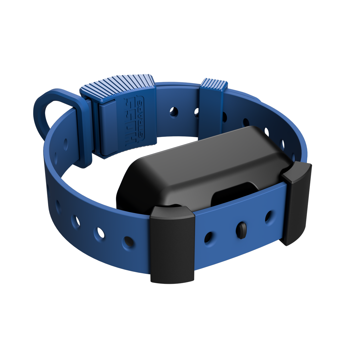Training Collar Setup Hoss Straps dog collar with adjustable buckle on Tampa Home & Garden Store