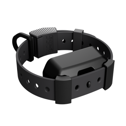Training Collar Setup by Hoss Straps, black hunting dog collar with dual adjustable buckles on Tampa Home & Garden Store