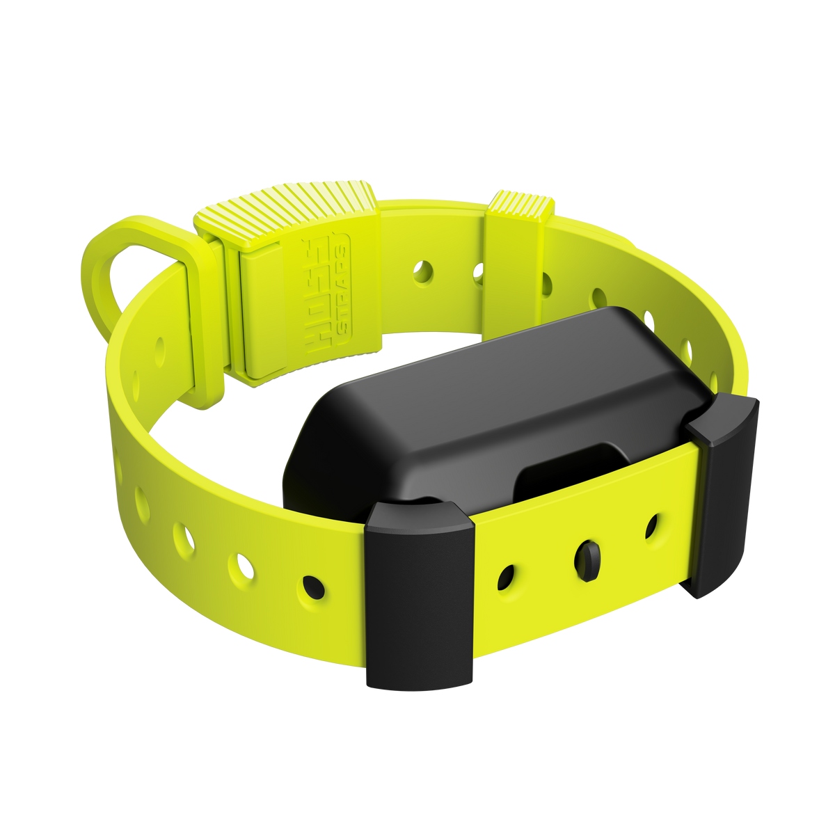 Training Collar Setup Hoss Straps bright yellow adjustable hunting dog collar with buckle on Tampa Home & Garden Store