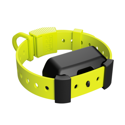 Training Collar Setup Hoss Straps bright yellow adjustable hunting dog collar with buckle on Tampa Home & Garden Store