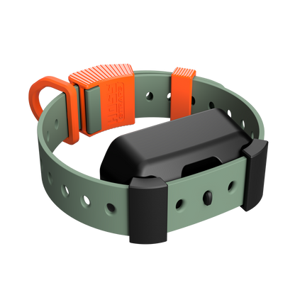 Training Collar Setup Hoss Straps collar with olive green strap and orange buckle on Tampa Home & Garden Store