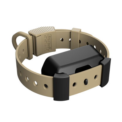 Training Collar Setup Hoss Straps beige hunting dog collar with ribbed buckle and black receiver on Tampa Home & Garden Store