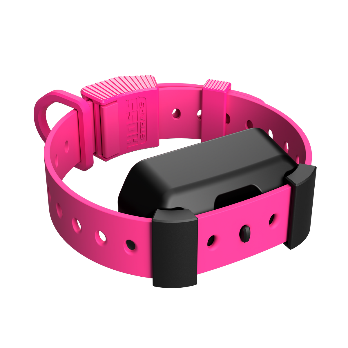 Training Collar Setup Hoss Straps pink adjustable dog collar with buckle and perforated holes on Tampa Home & Garden Store