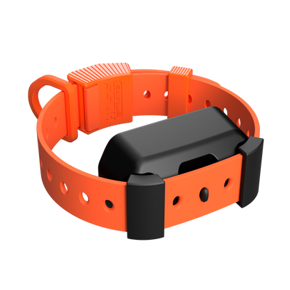 Training Collar Setup by Hoss Straps orange hunting dog collar with black buckle on Tampa Home & Garden Store