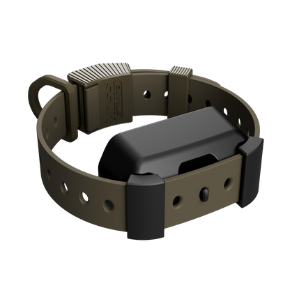 Training Collar Setup Hoss Straps hunting dog collar in tan with serrated adjustment on Tampa Home & Garden Store