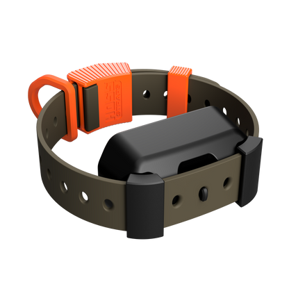 Training Collar Setup Hoss Straps orange buckle and strap on olive hunting dog collar on Tampa Home & Garden Store